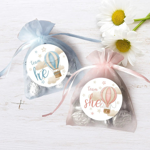 40 Count Pink and Blue Hot Air Balloon Gender Reveal Stickers for Team He and Team She, 1.75 Inch Round Labels on fabric bags