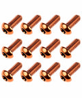 Titanium Bike Bolts Set T25 Torx Head M5x12mm 12mm Length Grade 5 6Al4V Orange Beefy RustProof Lightweight Heavy Duty Screws Pack Of 12 For Disc Rotor Brakes Calipers And Bike Water Bottle Mounts