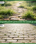 Before and after image of a brick path, top shows weeds, bottom is cleared, using Universal Weed Eater Head With 12pc 11in.095 Triangle Trimmer Line