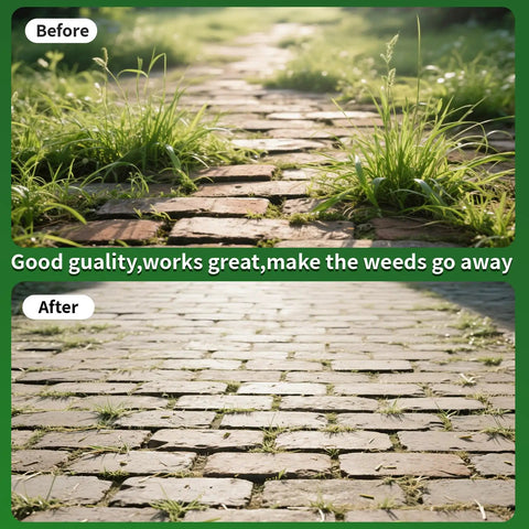 Before and after image of a brick path, top shows weeds, bottom is cleared, using Universal Weed Eater Head With 12pc 11in.095 Triangle Trimmer Line