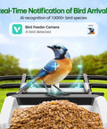 Solar Powered Bird Feeder Camera With 2K HD Live View Auto Capture And AI Species ID For 10,000 Plus Birds 2.4G WiFi Outdoor