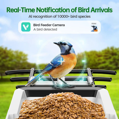 Solar Powered Bird Feeder Camera With 2K HD Live View Auto Capture And AI Species ID For 10,000 Plus Birds 2.4G WiFi Outdoor