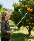 Person using 32 Inch Pole Pruner With Long Reach No Ladder Required For Safe Pruning One Hand Use Snip Grip Technology Lightweight Tree Trimmer Cutting One Half Inch Capacity For Roses Persimmons And Tall Branches on orange tree