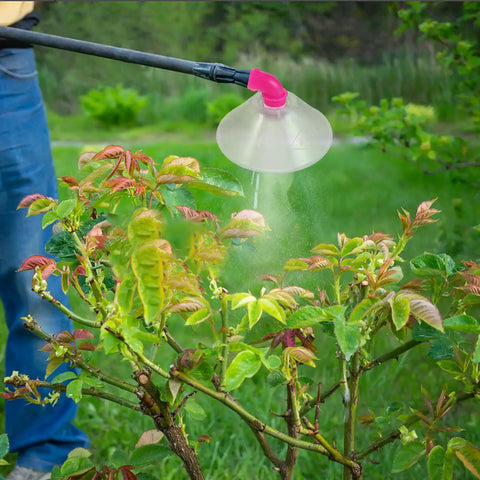 High Pressure Sprayer Nozzles With 10cm Shield For Backpack Garden Sprayer in use on bush in garden, spraying fine mist.