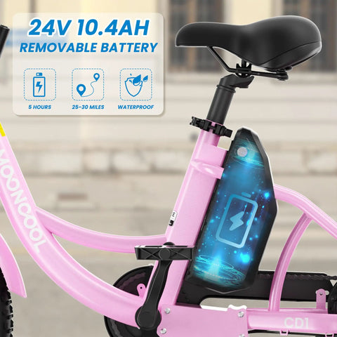 16 Inch Electric Tricycle for Teens, 250W 3 Wheel Bike with Lightweight 6061 Aluminum Frame, low step-through design, battery detail