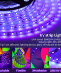 Black Light Strip Kit With 79 Feet Of Flexible LED Lights Powered By 12V 1440 LEDs glowing purple, touchable and flexible design