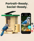 Smart Solar Powered Bird Feeder With Camera, Slow Motion Video And Night Insight, AI Identifies 6000 Plus Species, with phone app display