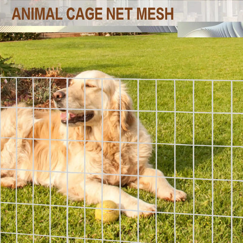 Heavy Duty Galvanized Welded Wire Fence Roll 4 Ft By 100 Ft With 2x4 Inch Mesh, 16 Gauge Hardware Cloth For Strong Backyard Protection And Poultry Netting, Garden Fence with dog behind mesh
