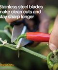 Close-up of Herb Garden Snips With Sheath And Soft Grip Handle For Easy Kitchen Harvests Five Inch Stainless Steel Garden Scissors cutting a plant stem.
