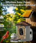 Smart Bird Feeder With Camera For Outdoors Solar Powered Bird House 2K HD Live Video AI Species ID Real Time Alerts 2.4G WiFi Brown Perfect Gift For Bird Lovers