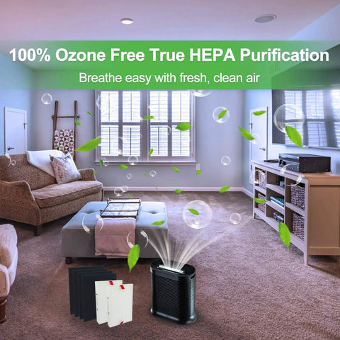 Living room with Drop In Replacement Filter Kit For Honeywell HPA200 Series Air Purifiers with H13 R Filters visible.