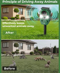 Motion Activated Solar Ultrasonic Animal Repeller With LED Flashing Lights for yard showing animals and device effect