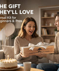 Couple gifting a Beginner Bonsai Tree Kit With 5 Unique Japanese Bonsai Trees, Complete Indoor Bonsai Starter Kit Includes Tools