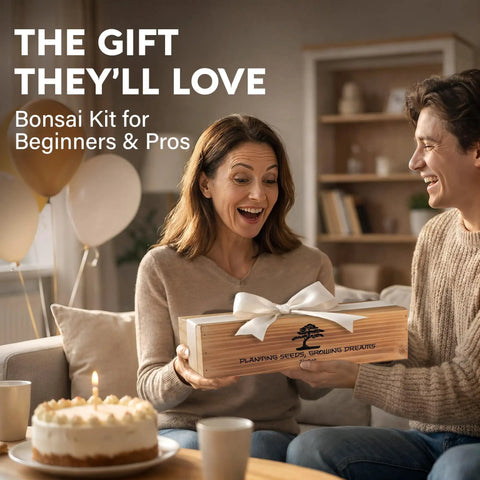 Couple gifting a Beginner Bonsai Tree Kit With 5 Unique Japanese Bonsai Trees, Complete Indoor Bonsai Starter Kit Includes Tools