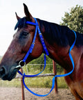 Horse wearing Adjustable Horse Bridle Set With Stainless Steel Bit And Reins, Durable Nylon Webbing Headstall, Blue Color Small Size