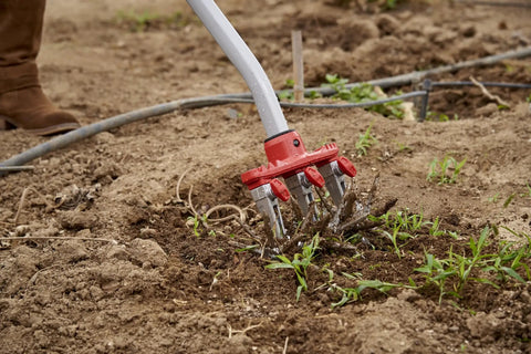 Disc Cultivator Heavy Duty Garden Tool With ComfortGEL Grip in soil, showing adjustable metal tines and long handle during weeding.