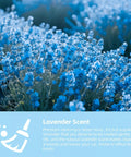 Blue lavender flowers representing the scent of Two Pack Car Cleaning Gel Universal Dust Cleaner For Car Vents, Keyboards, Cameras, Printers, Phones And Electronics Cleanup, Slime Putty Cleaning Kit For Auto And Home, Must Have Gift For Adults Teens Men Women