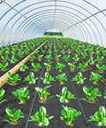 Heavy Duty Weed Barrier Fabric 6x300Ft Landscape Fabric Three Point Two Ounce installed in a greenhouse for agriculture use
