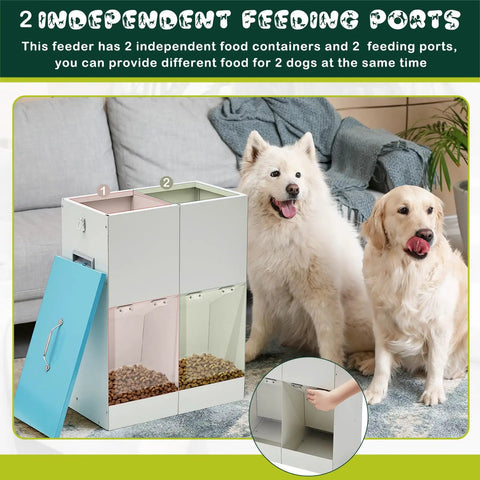 Heavy Duty Gravity Dog Feeder For Two Paw Pals With Forty Six Pound Capacity showing large dual feeding ports and dogs.