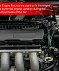 Detailed view of Heavy Duty Engine And Transmission Mount Set Fits Honda Element 2 Point 4 Liter Models showcasing solid engine mount construction.