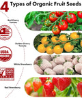 Hydroponic Seed Kit For Strawberry And Tomato Growing Systems With 350 Germinating Seeds Red Cherry Tomato Golden Cherry Tomato White Strawberry And Red Strawberry shown with four types of organic fruit seeds.