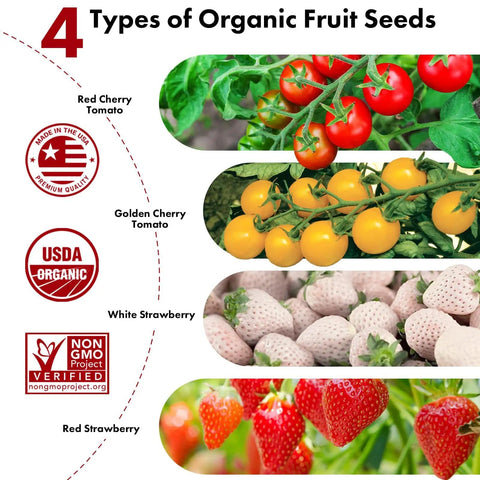 Hydroponic Seed Kit For Strawberry And Tomato Growing Systems With 350 Germinating Seeds Red Cherry Tomato Golden Cherry Tomato White Strawberry And Red Strawberry shown with four types of organic fruit seeds.