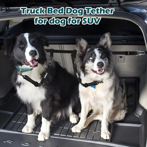 Badass Heavy Duty Truck Bed Dog Leash Double Lock Nylon Tether Keeps Your Pup Locked Down Hassle Free For All Breeds During Road Trips And Daily Tailgate Errands