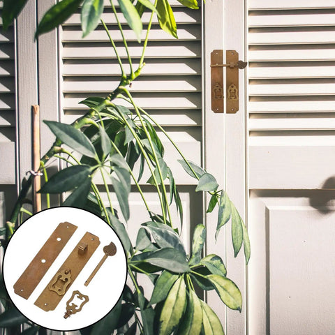 Antique Brass Cabinet Pulls And Vintage Door Knobs for wardrobe, brass hardware on shutter, plant beside, rust resistant durable