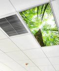 2x4 Fluorescent Light Covers Backlit Film For Classrooms And Offices Easy Install Brighten Your Space Improve Focus And Reduce Headaches