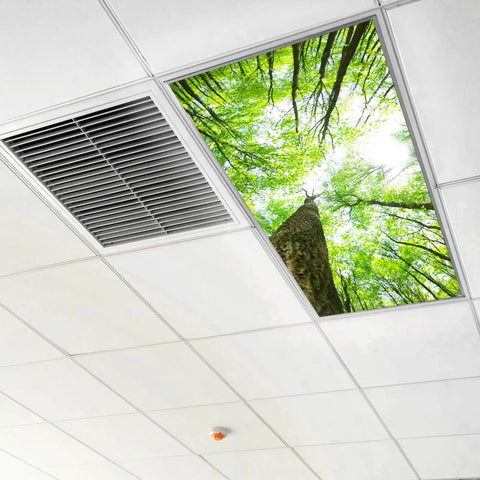 2x4 Fluorescent Light Covers Backlit Film For Classrooms And Offices Easy Install Brighten Your Space Improve Focus And Reduce Headaches