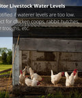 Chickens in a coop with monitor livestock water levels sign in rural setting