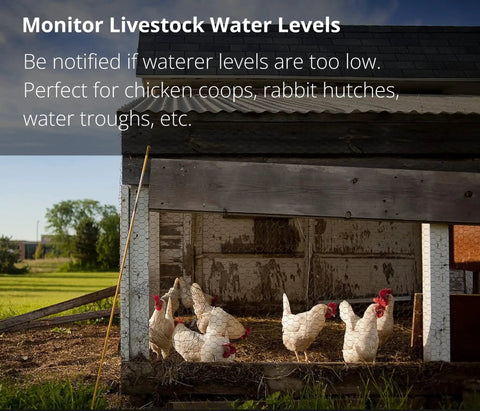Chickens in a coop with monitor livestock water levels sign in rural setting