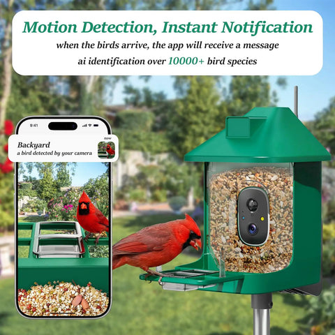 Smart Bird Feeder With Camera 2K Live View Solar Powered Outdoor WiFi Night Vision AI Identify Arrive Alerts Auto Record Videos Real Time App Notifications All In One Backyard Bird Watching Gift For Family And Bird Lovers showing motion detection on a phone screen and a red bird feeding.