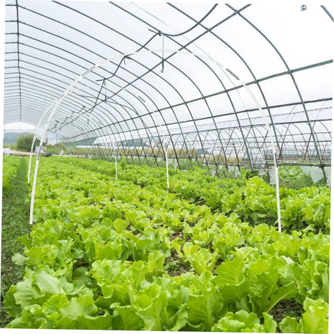 Greenhouse Plant Support Bracket Kit For Gardeners, PVC Clamps And Hooks To Hold Plastic Covers, Easy Soil Insertion Climbing Frame For All Season Plant Protection And Better Growth