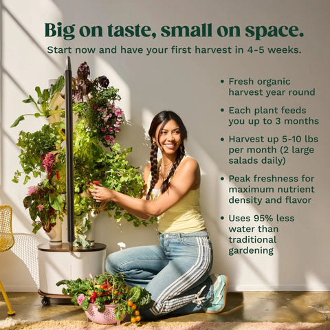 Woman tending Vertical Hydroponics Garden System For Indoor Growing With Grow Lights Compact Smart Tower in apartment