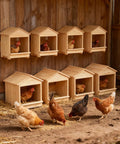 Versatile Portable Chicken Nesting Box With Detachable Ramp For Indoor Outdoor Use, Wall Mount Or Ground Setup in coop scene