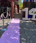 Two Pack Velvet Stanchion Rope Pink With Gold Hooks, Five Foot Party Barrier for VIP Events, Red Carpet Setup outside event