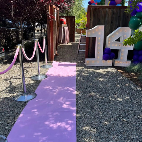 Two Pack Velvet Stanchion Rope Pink With Gold Hooks, Five Foot Party Barrier for VIP Events, Red Carpet Setup outside event