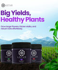 Three Part Plant Nutrient Starter Kit With Grow Bloom And Boost Powders for hydroponics and soil, outdoor scene with fields
