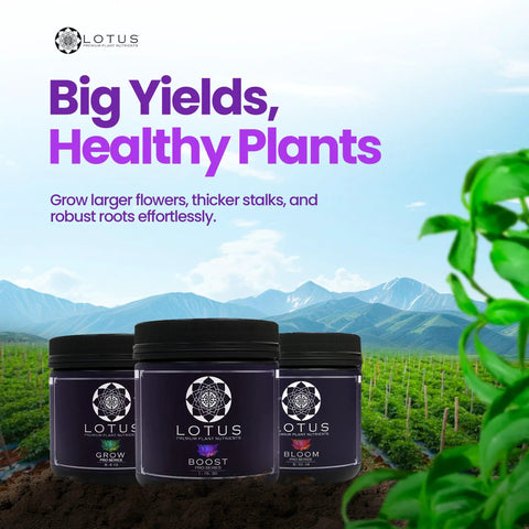 Three Part Plant Nutrient Starter Kit With Grow Bloom And Boost Powders for hydroponics and soil, outdoor scene with fields