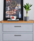 Modern dresser with matte black cabinet pulls, decorative artwork, plant, and books on top.