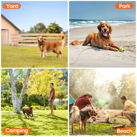 Collage of dogs using a 15Ft Reflective Tie Out Cable For Dogs Up To 250 Pounds in yard, park, camping, and beach settings.