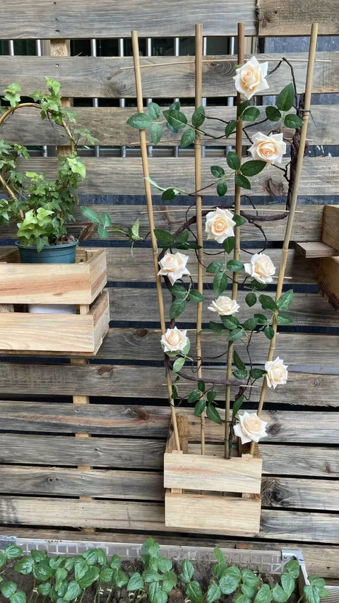 3 Pack 4 Foot Bamboo Trellis Fan Shaped Plant Support For Outdoor And Indoor Potted Climbing Plants Vegetables Tomatoes Cucumbers Vines Flowers And More Sturdy Handmade Natural Bamboo Stakes Perfect For Hoya Jasmine Grapes supporting climbing roses in a wooden planter.