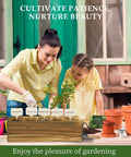 Five Vibrant Bonsai Kit For Beginners With Seeds Soils Pots And Tools Includes Jacaranda Flame Tree displayed on a table