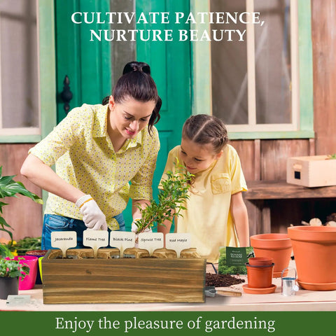 Five Vibrant Bonsai Kit For Beginners With Seeds Soils Pots And Tools Includes Jacaranda Flame Tree displayed on a table