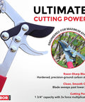 Extendable Bypass Lopper With Compound Action for Tree Pruning with razor-sharp blades, 27 to 40 inch telescopic reach.