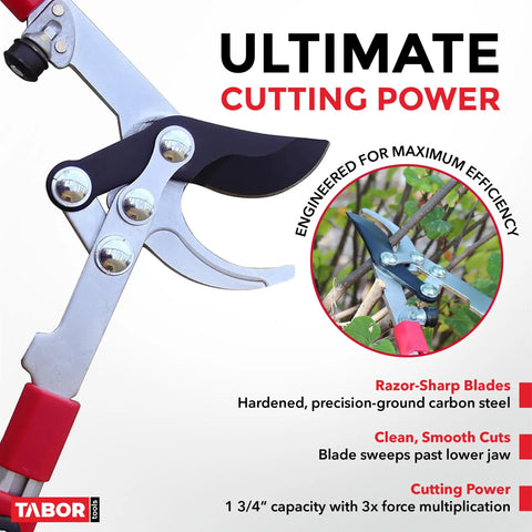 Extendable Bypass Lopper With Compound Action for Tree Pruning with razor-sharp blades, 27 to 40 inch telescopic reach.