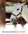 White horse using Three Set Stainless Steel Horse Tie Rings With Eye Bolts And Snaps Safe Restraint Gear for peace at barn