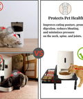 Heavy Duty Elevated Pet Feeding Station With Adjustable Height Base, Swanky Storage Drawer And Slick Metal Bracket, No Sweat Setup For Automatic Feeders And Water Dispensers, Hella Stable Rack For Cats And Small To Medium Dogs, before and after pet health diagram.