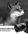 USB Global Shutter Camera Featuring 800P Monochrome Sensor beside a fox, showcasing its detailed lens and sensor design.
